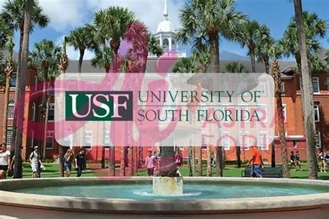 Faculty & Staff resources can be found here by clicking the image above. . My usf